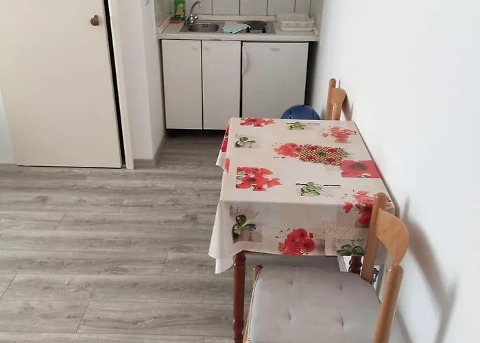 Ivo