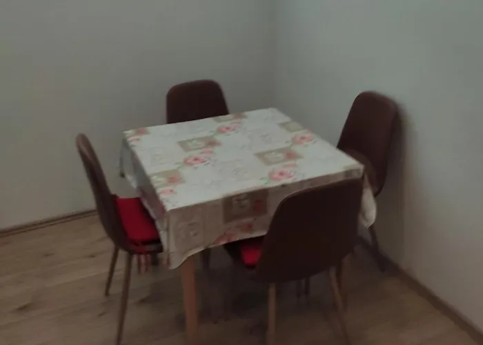 Ivo