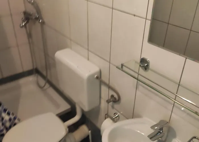 Ivo * 马卡尔斯卡